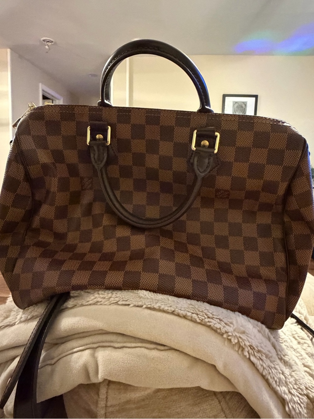Louis Vuitton Speedy bandoulière